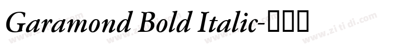 Garamond Bold Italic字体转换